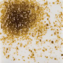 Dark Amber Trans Coarse Frit 50 grams - bulk discounts - Click Image to Close
