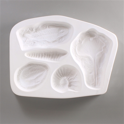 CPI Fossils