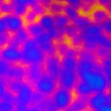 90COE Aurora Borealis