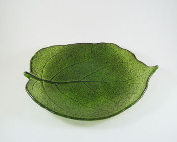 Kiwi Leaf