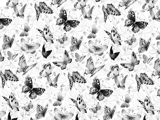 Black Butterfly Chintz 200 mm x 200 mm - Click Image to Close