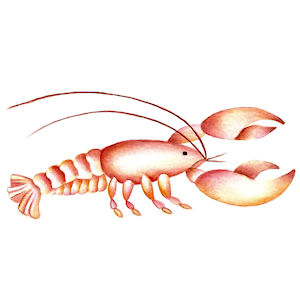 Lobster - Small - 35 mm - Set of 6 - Click Image to Close