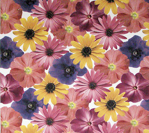 Petals Chintz 200 mm x 200 mm - Click Image to Close