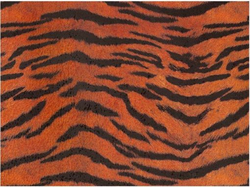 Tiger Chintz 200 mm x 200 mm