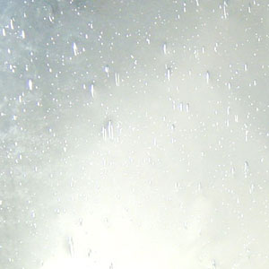 Clear Seedy 100SEEDYF (300 mm x 300 mm)