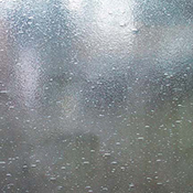 Clear Satin Seedy 100SNSeedyF (300 mm x 300 mm)