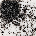 Black Opal Fine Frit 50 grams - bulk discounts