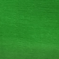 Garden Green Transparent (Handy Sheet 260mm x 260mm)